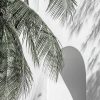 164868e1 2d15 4599 8021 Ec6310ed0bb7